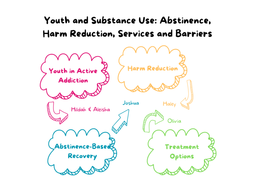 Youth and Substance Use: Abstinence, Harm Reduction, Services and Barriers
